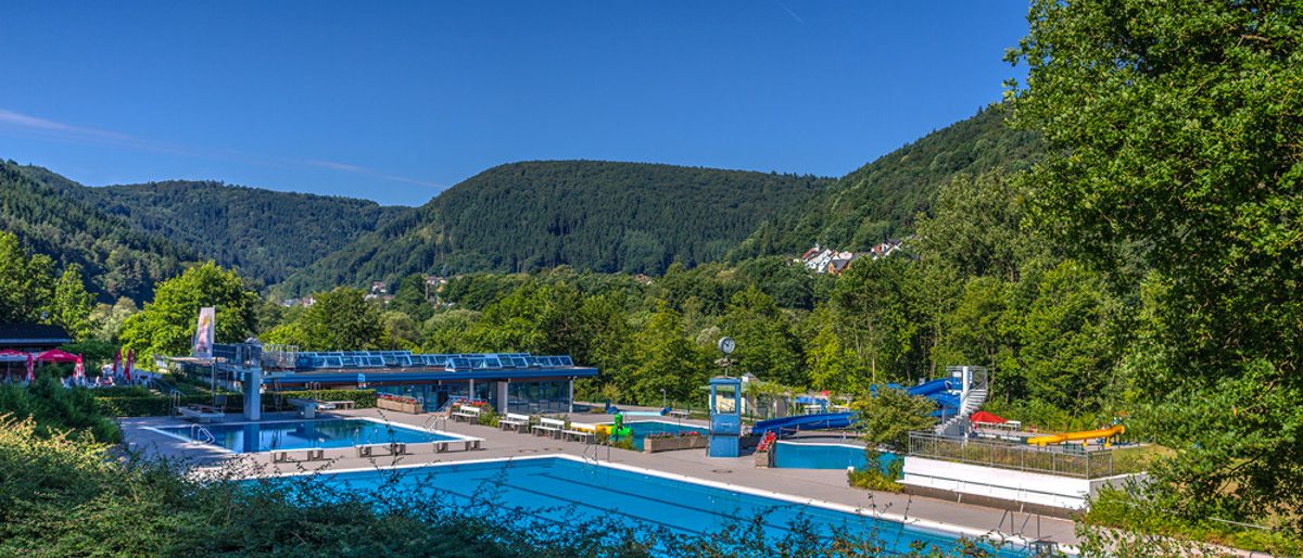 Panoramaansicht Freibad mit Schwimmerbecken und Wald